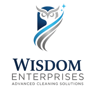 wisdomenterprise.co.in